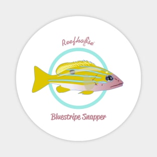 Bluestripe Snapper Magnet